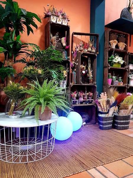 Floristería Guillermo Guillén