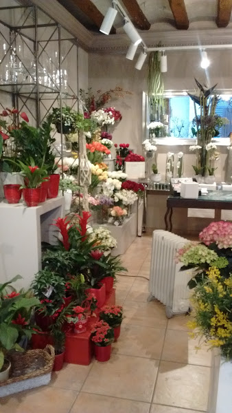 Floristeria-Ilaga-3