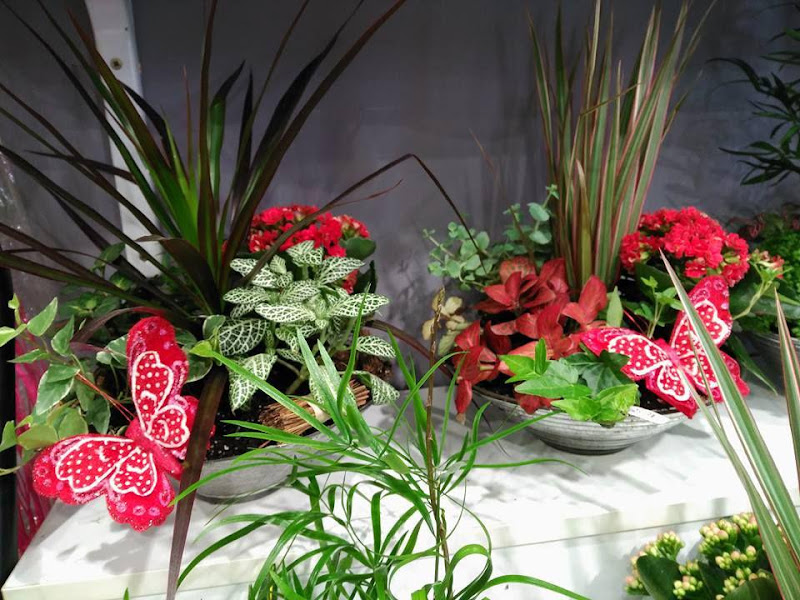 Floristeria-Imabel-4
