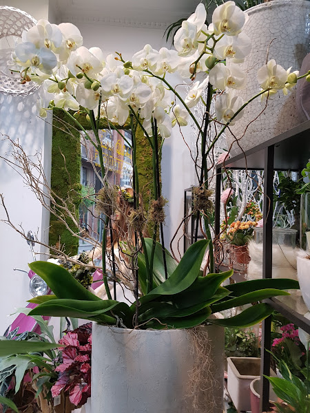 Floristeria-Ines-Quintana-4
