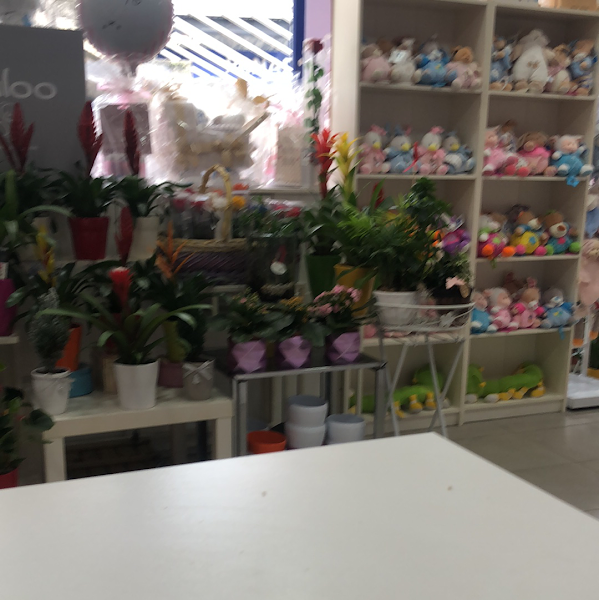 Floristeria-Iraia-Loradenda-4