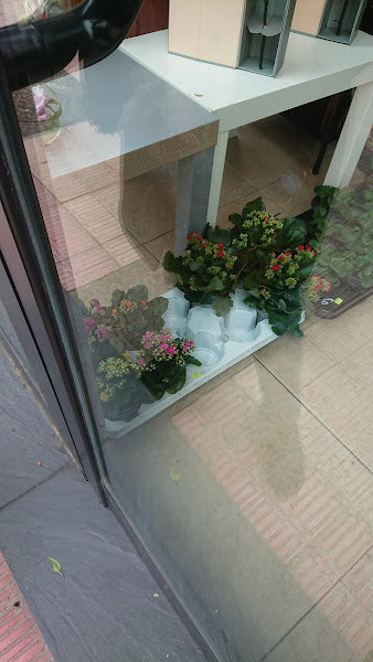 Floristeria-JUAN-Barakaldo-3