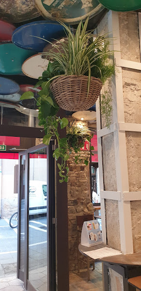 Floristería Jesús Guillén