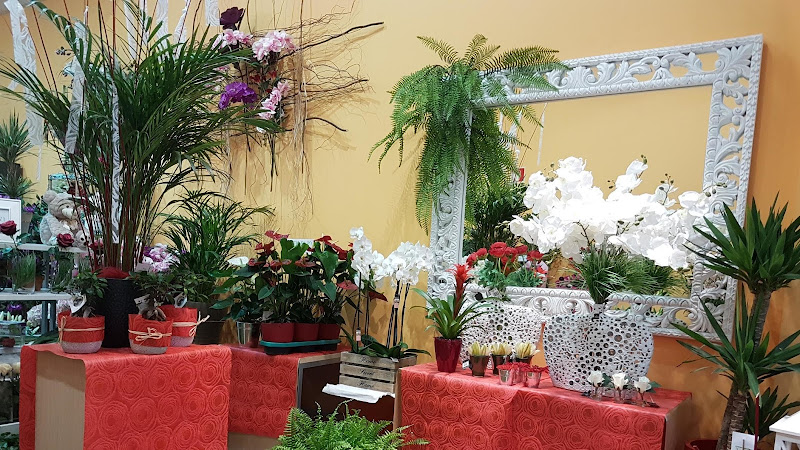 Floristeria-Jesus-Guillen-2