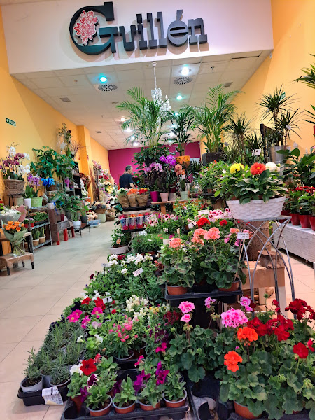 Floristeria-Jesus-Guillen-3