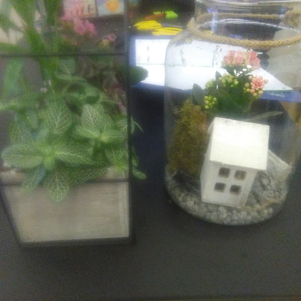 Floristeria-Lora-Denda-Gema-Fernandez-De-Aguirre-4