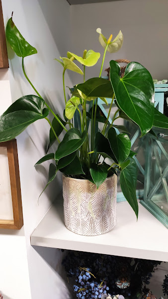 Floristeria-Mari-Asun-3