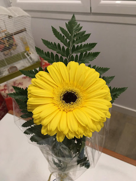 Floristeria-Nekane-2