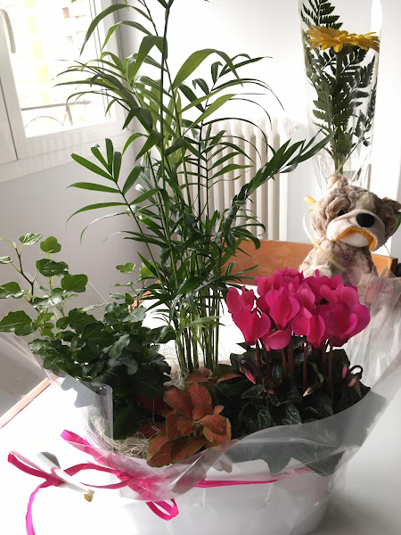 Floristeria-Nekane-3