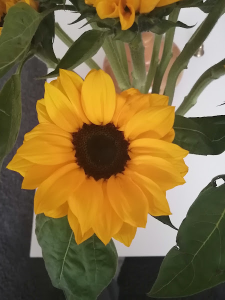Floristeria-Nenufar-4