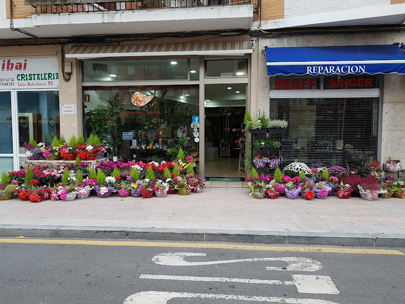 Floristeria-Nere-Sustraiak-Loradenda-4