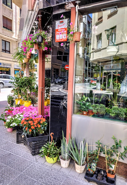 Floristería Nina