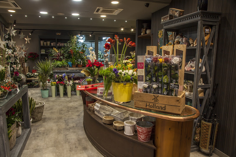 Floristeria-Nunez-floristerias-Pamplona-2