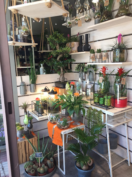 Floristeria-Nunez-floristerias-Pamplona-4