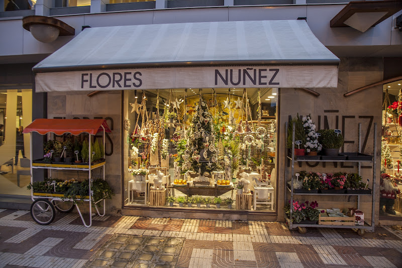 Floristería Núñez - floristerías Pamplona