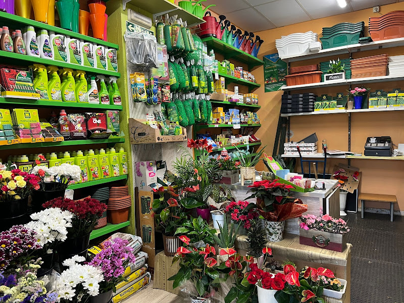 Floristeria-Pamplona-GAMA-2