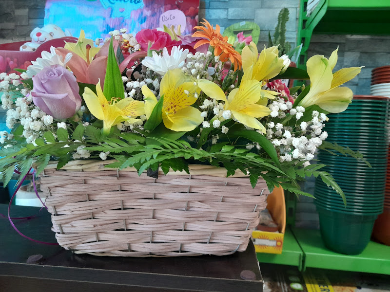 Floristeria-Pamplona-GAMA-4