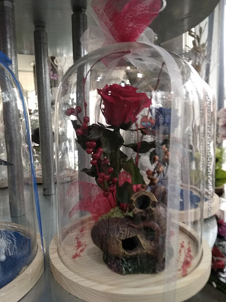 Floristeria-Petalos-3