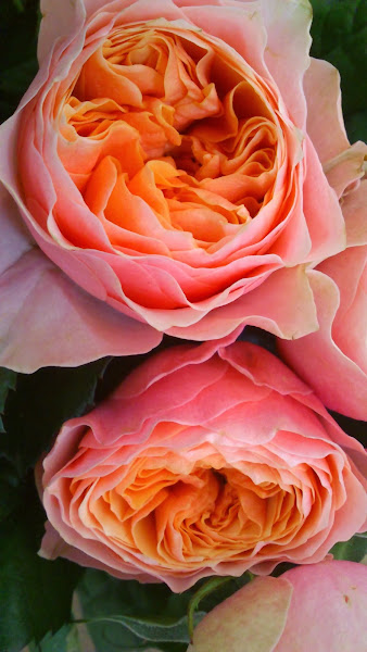 Floristeria-Rementeria-3