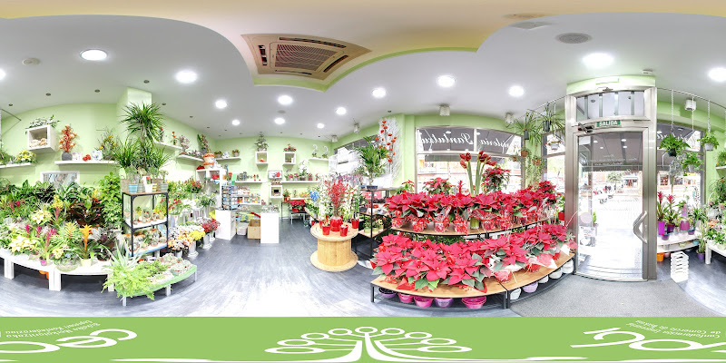 Floristería Santutxu