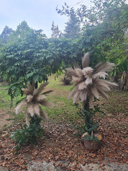 Floristeria-Saroi-Loradenda-4