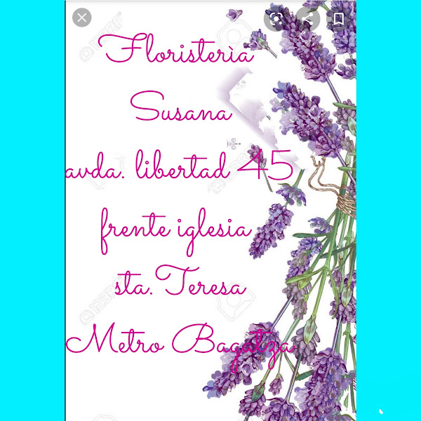 Floristeria-Susana-3