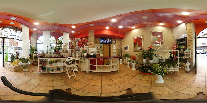 Floristeria-Vitoria-Flores-en-Red-⭐-2