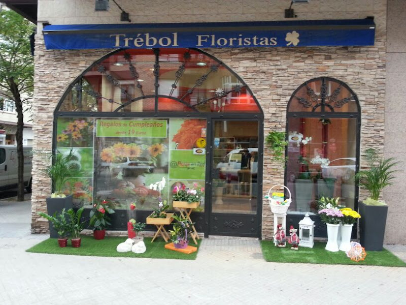 Floristería Vitoria Flores en Red ⭐