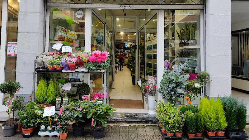 Floristeria-y-Animales-Pelikanos-2