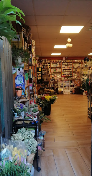 Floristeria-y-Herboristeria-Plentziako-Loreak-Plentzia-Bizkaia-3