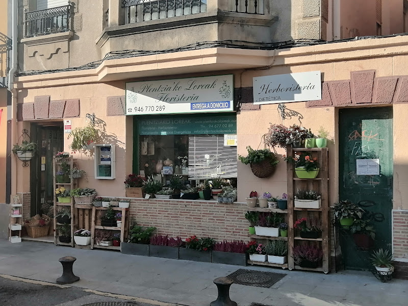 Floristería y Herboristería - Plentziako Loreak - Plentzia (Bizkaia)