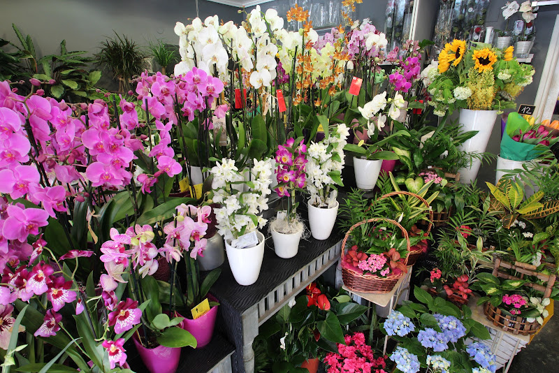 Floristerias-Ines-Quintana-3
