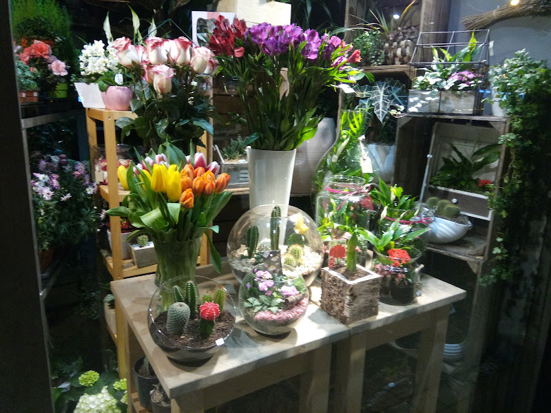 Floristerias-Ines-Quintana-4