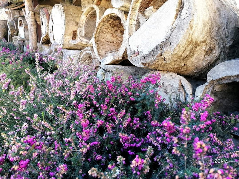 Garden-Erena-2