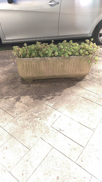Garden-Erena-3
