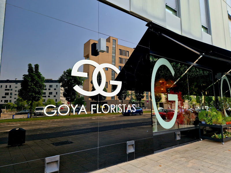 Goya Floristas