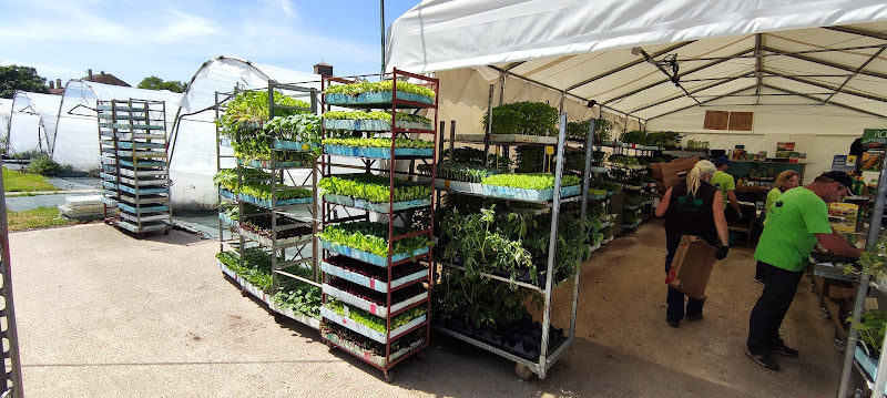 Hortalizas Etxeberría S.L.