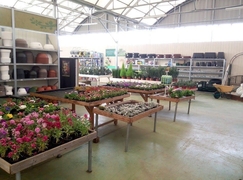 Ilur-Garden-Hastegia-3