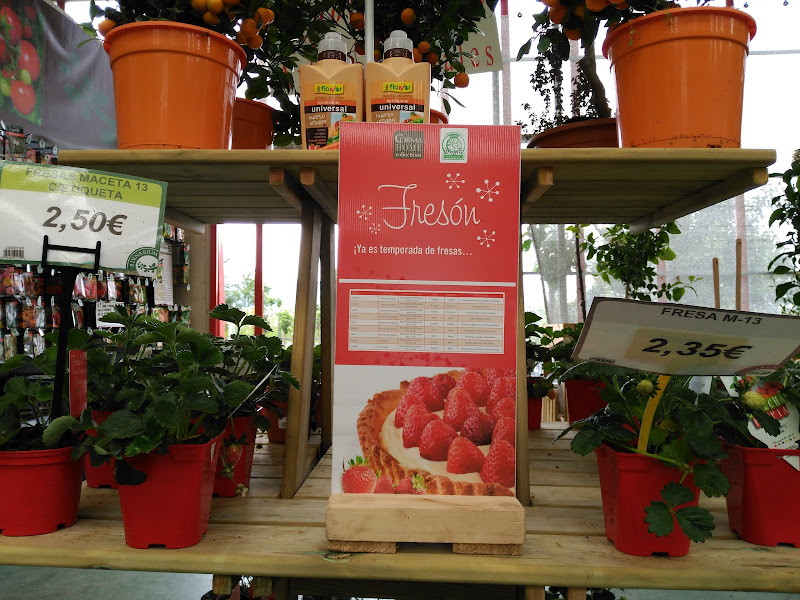 Ilur Garden Hastegia