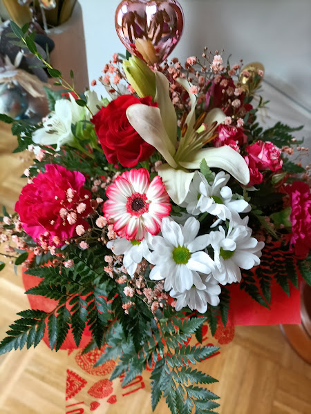 Iraia loradenda Floristería
