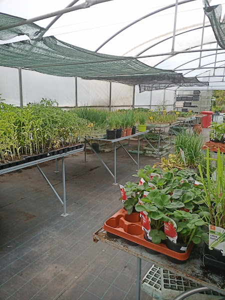 Jardineria-Abeto-SL-3
