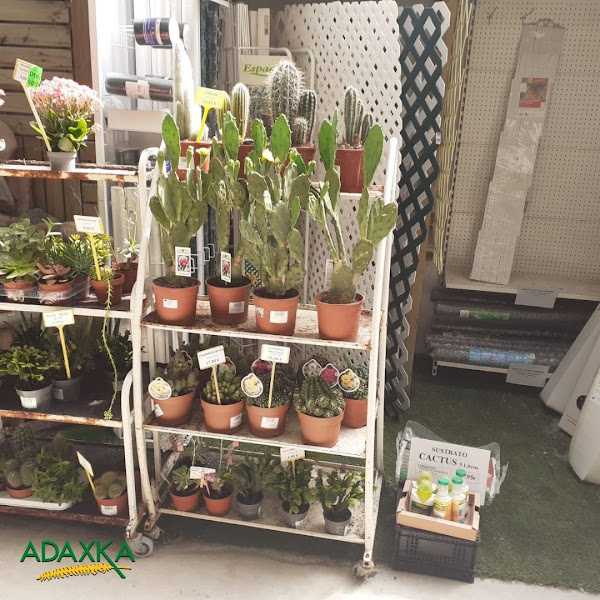 Jardineria-Adaxka-SL-2