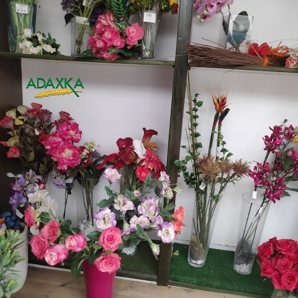 Jardineria-Adaxka-SL-3