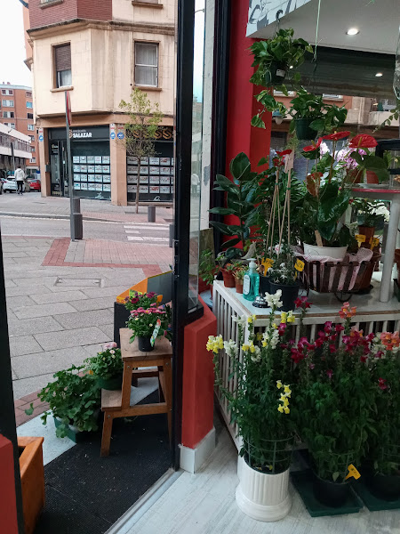 La perla floral de yako .Floristeria