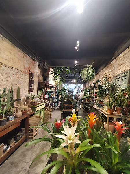 MARKET-BILBAO-Flores-plantas-Brocante-2