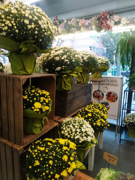 Mas-alla-de-las-flores-2