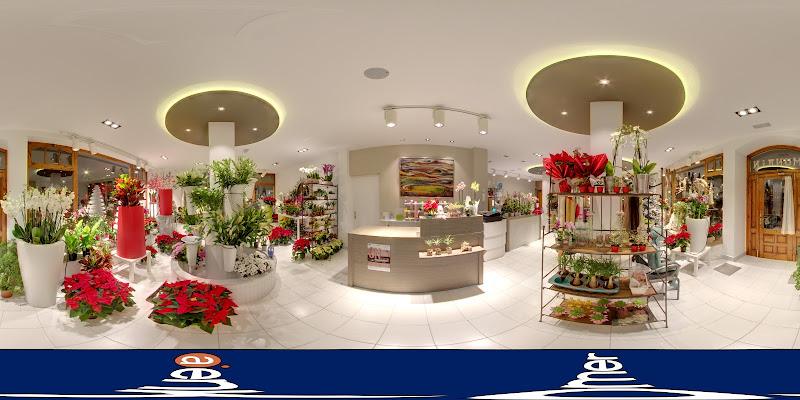 Munain-Floristas-3