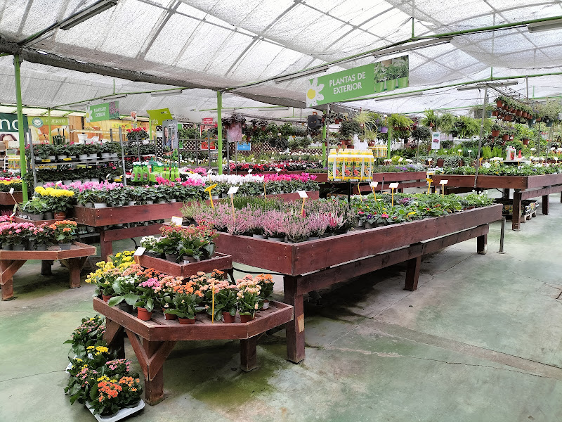 Mundo-Verde-Garden-Center-2