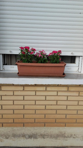 Viveros-Y-Jardineria-Lahoz-S-L-3