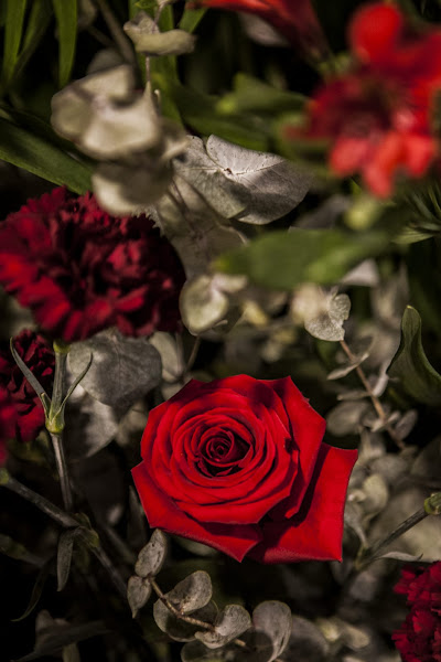 ZU-LOREDENDA-FLORISTERIA-2
